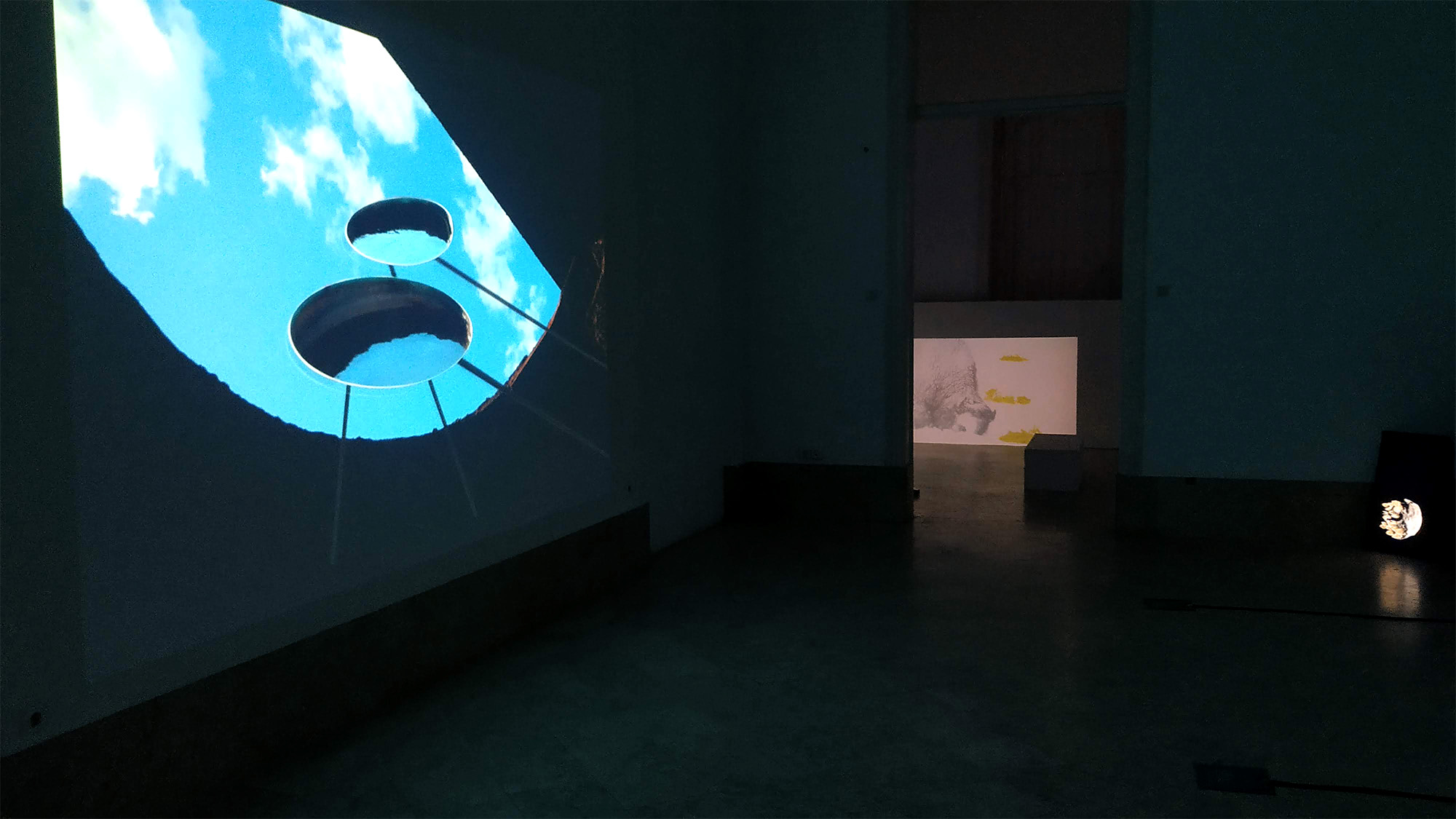 DIY Nature Reserve - Ehxibition view