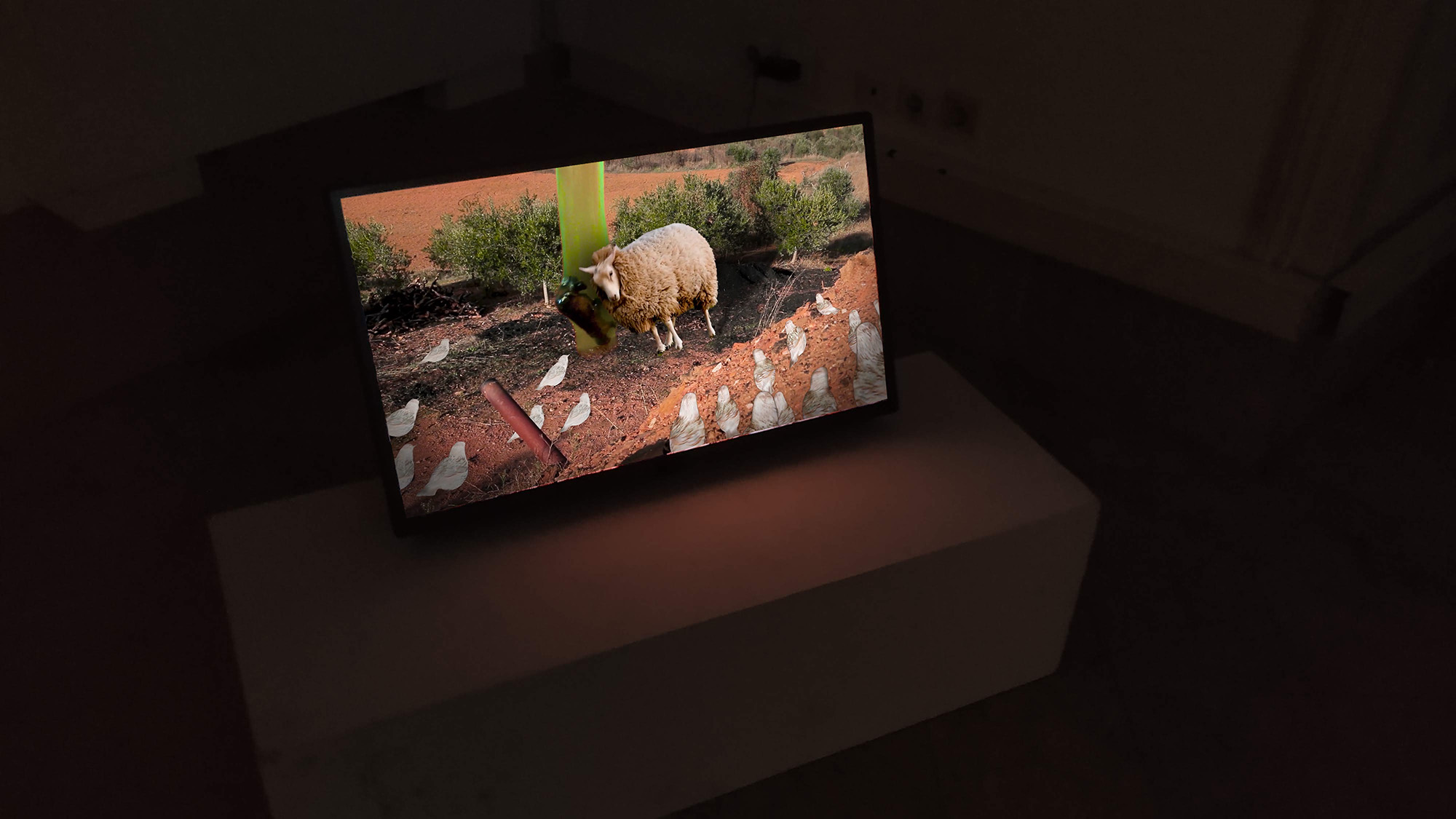 DIY Nature Reserve - Ehxibition view