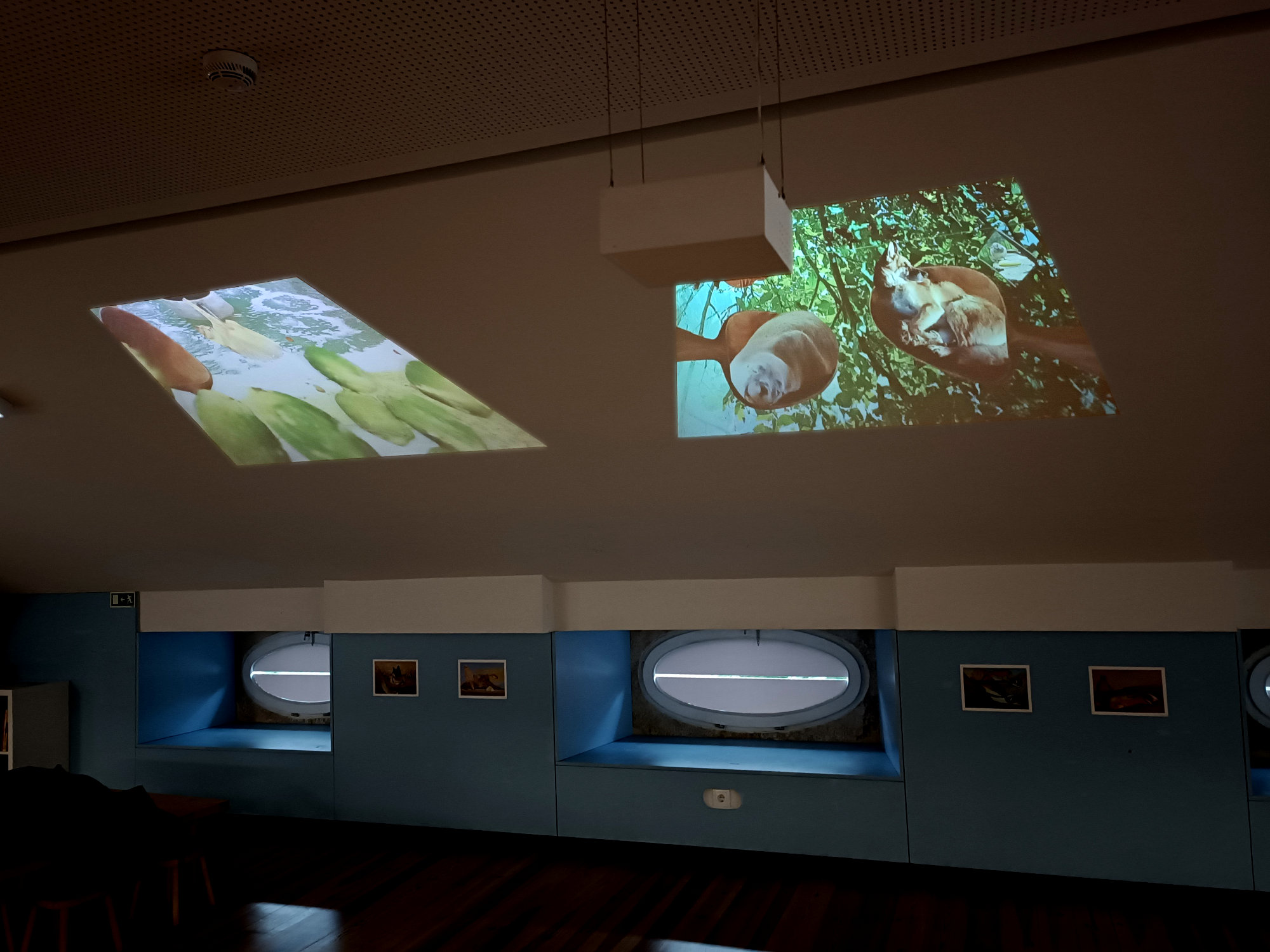 Oito Colheres de Sono - Ehxibition view