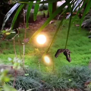 Fiesta remembers that her things are up there